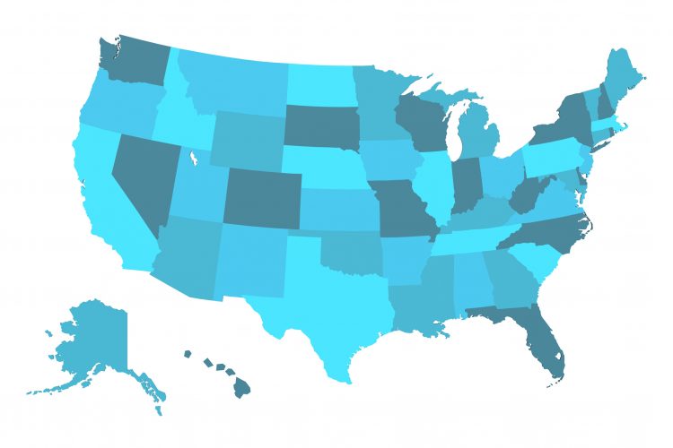 The status of independent physician associations by state